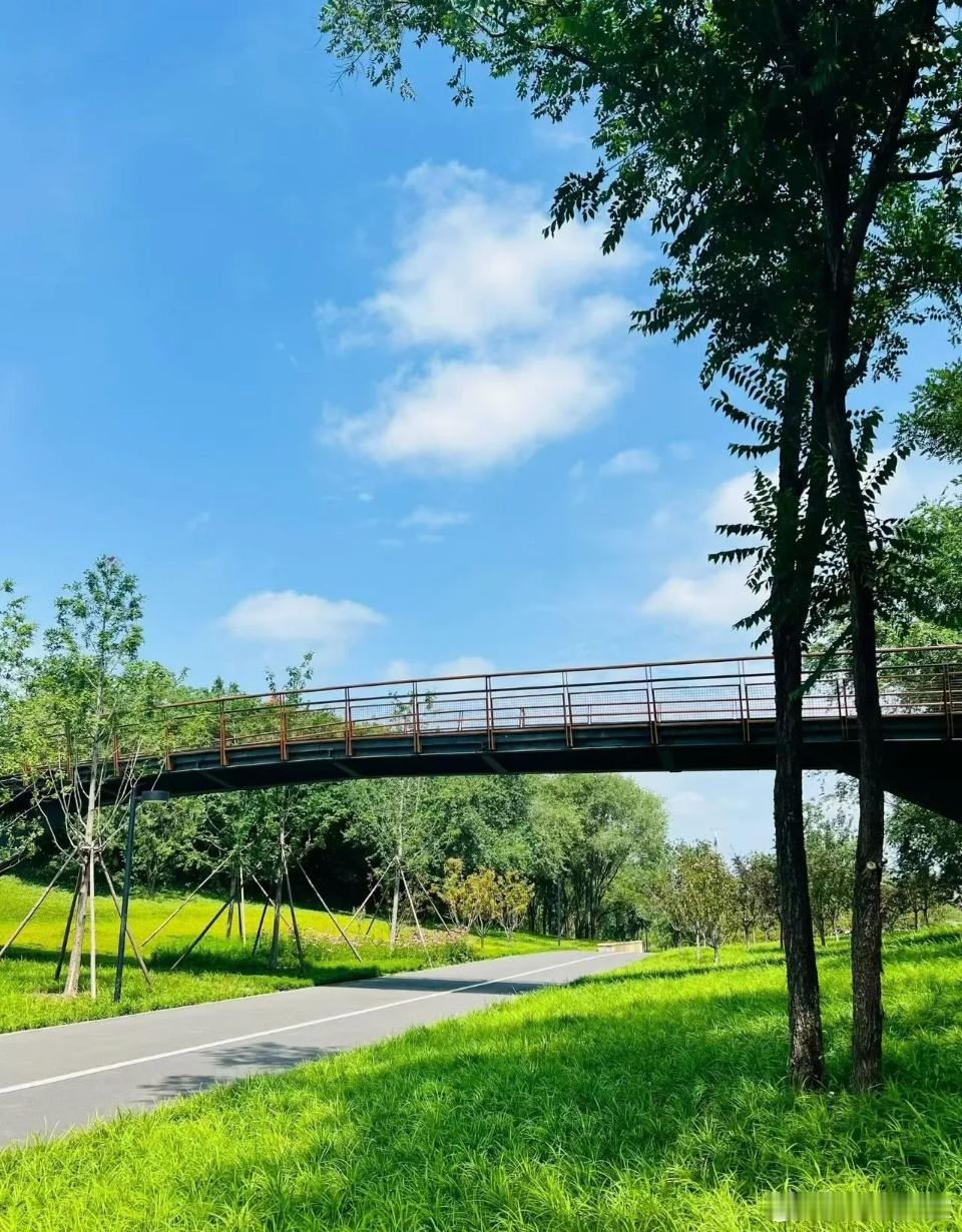重要支撑，今天多空有大动作！8月20日周四：市场解读及应对策略1、指数：短线支撑
