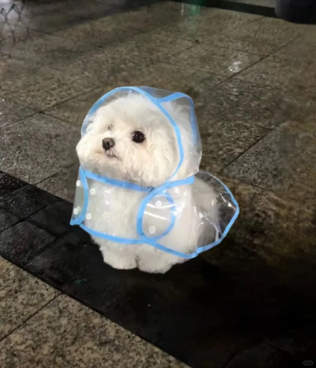 并没有人爱我