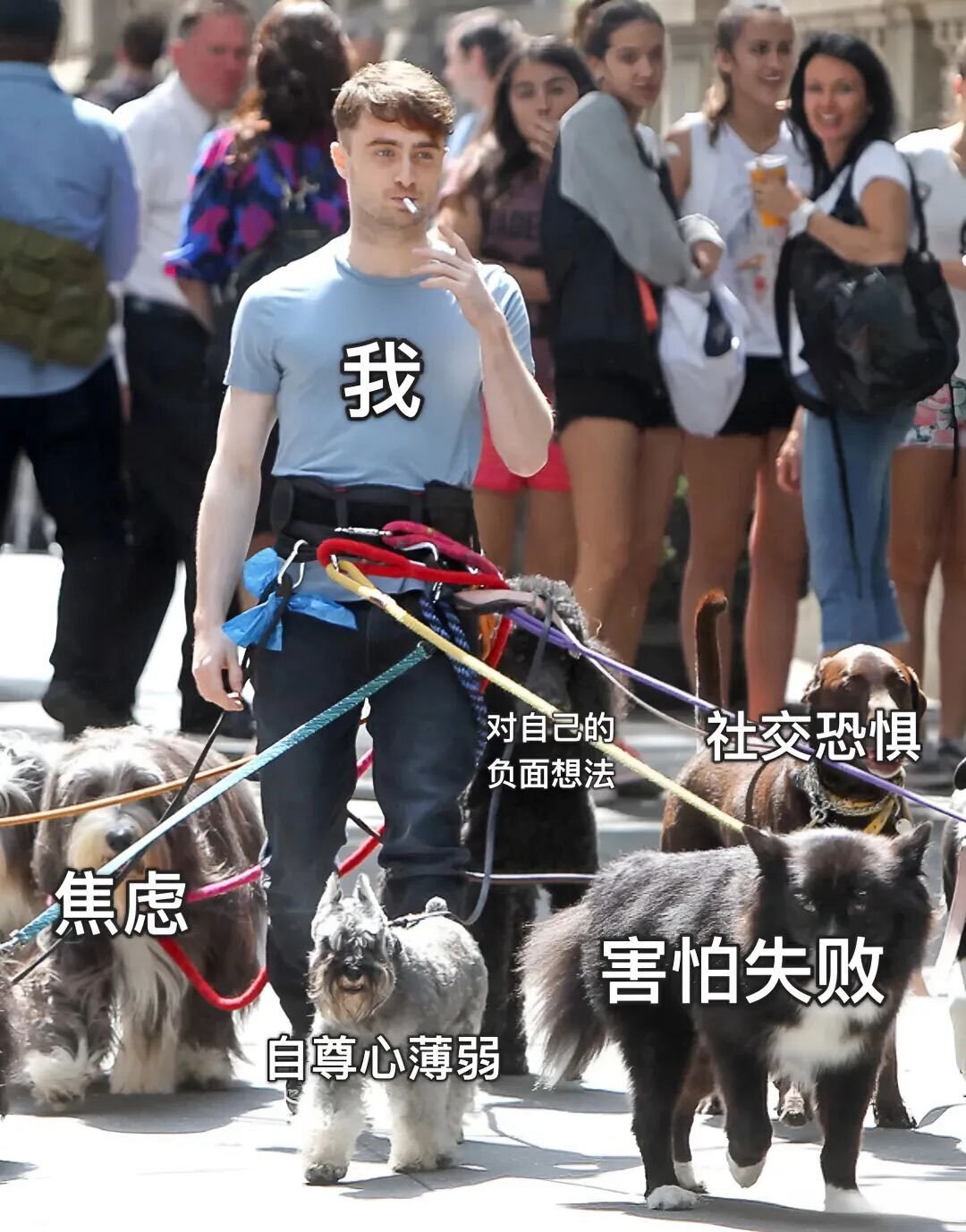 每天就带着这些情绪存活 