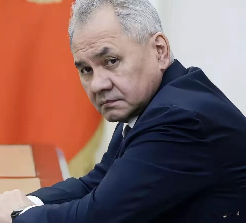 俄前防长绍伊古称，随着乌克兰无人机技术的发展，俄罗斯的任何地方都无法感到安全。他