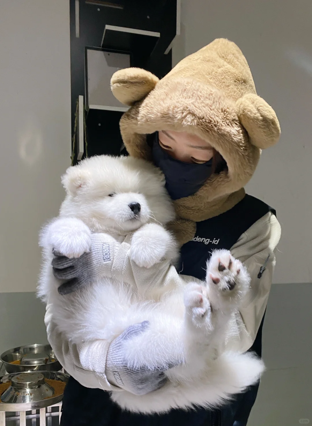赵富贵与Ceri直子“刘富贵” 2月龄生活随拍～ 新西兰家长来收图～ ...