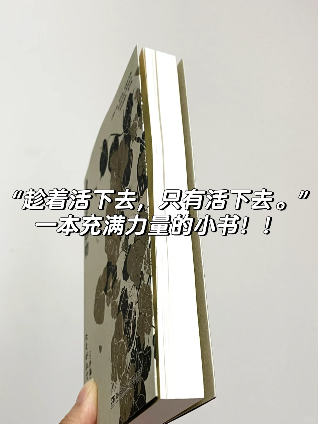 读到泪崩😭，这本书是我人生低谷期时的救赎！