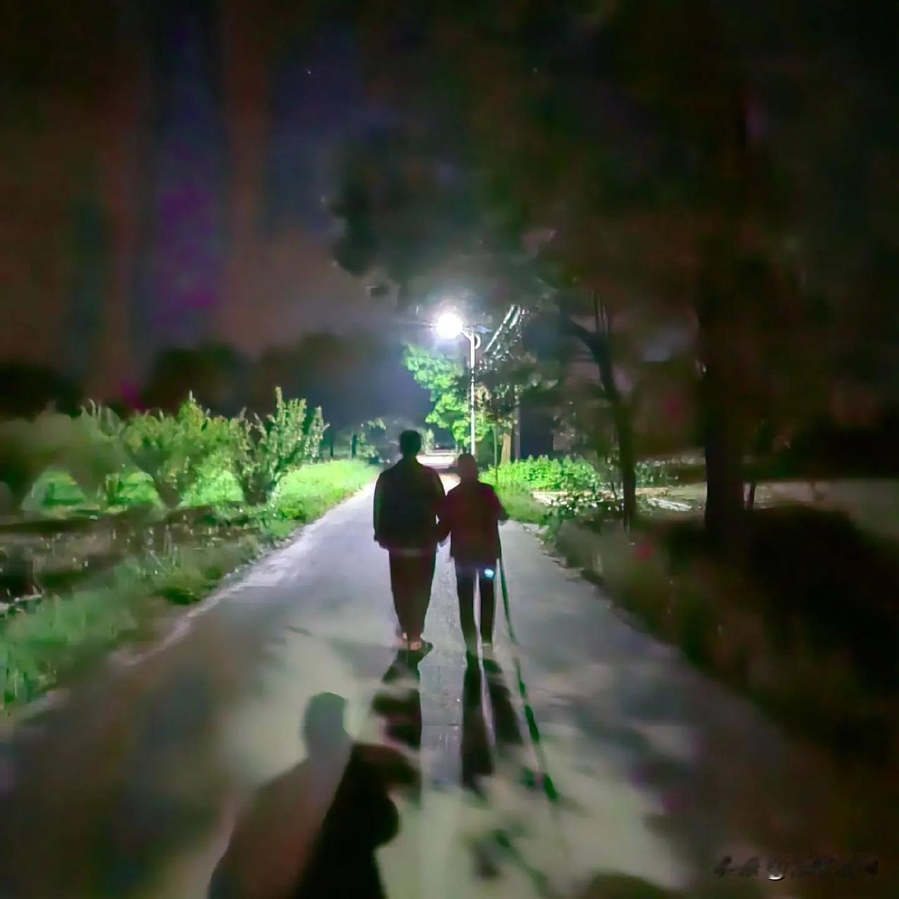 生前尽孝，死后从简，方为真孝。
        厚养薄葬，从来都是最朴素也最真诚