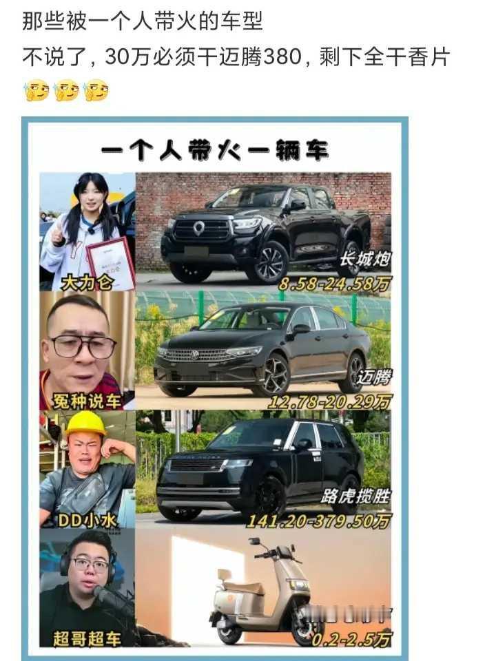 那些被一个人带火的车型