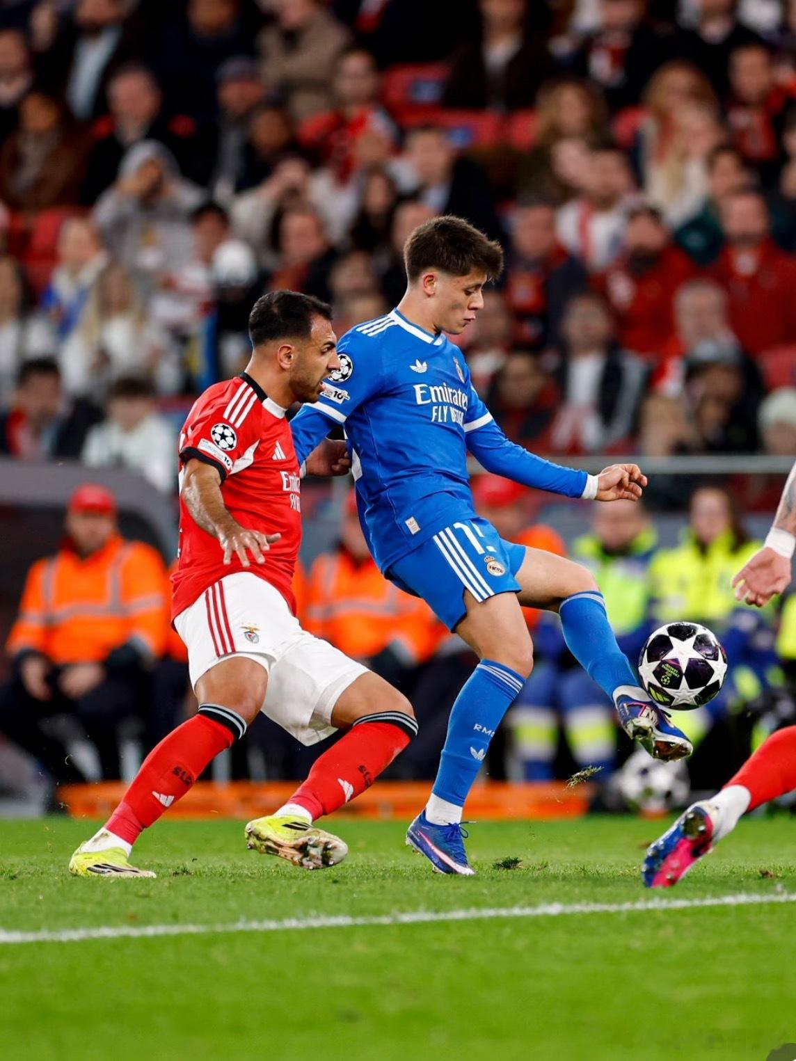 今日赛事预测!赛事：欧冠008球队：皇马vs本菲卡 方向：平局/主胜比分：1-1