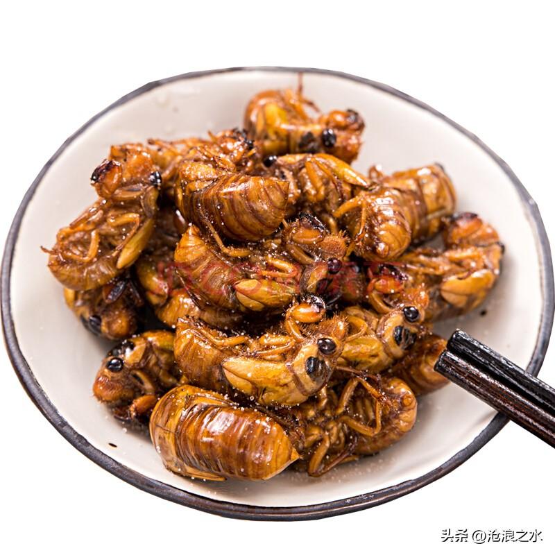 入伏之后的山东，入夜最热闹的地方从来不是烧烤摊，是城郊连片的杨树林。天刚擦黑，男