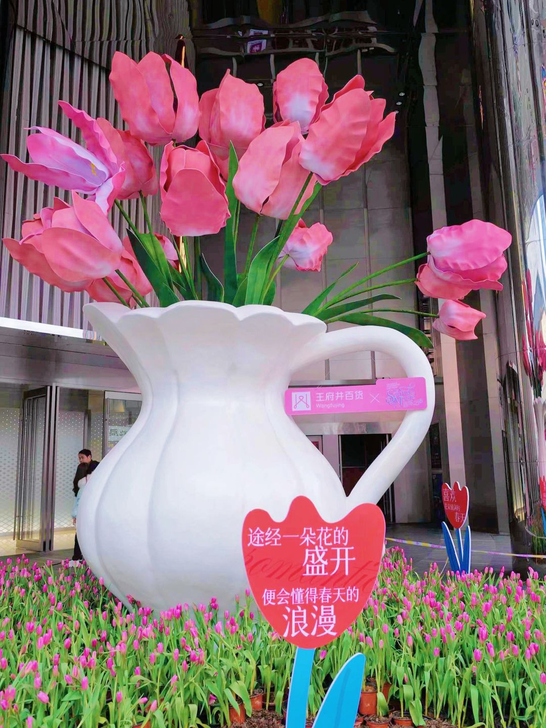 长沙超美郁金香🌷！打卡还送抱枕！