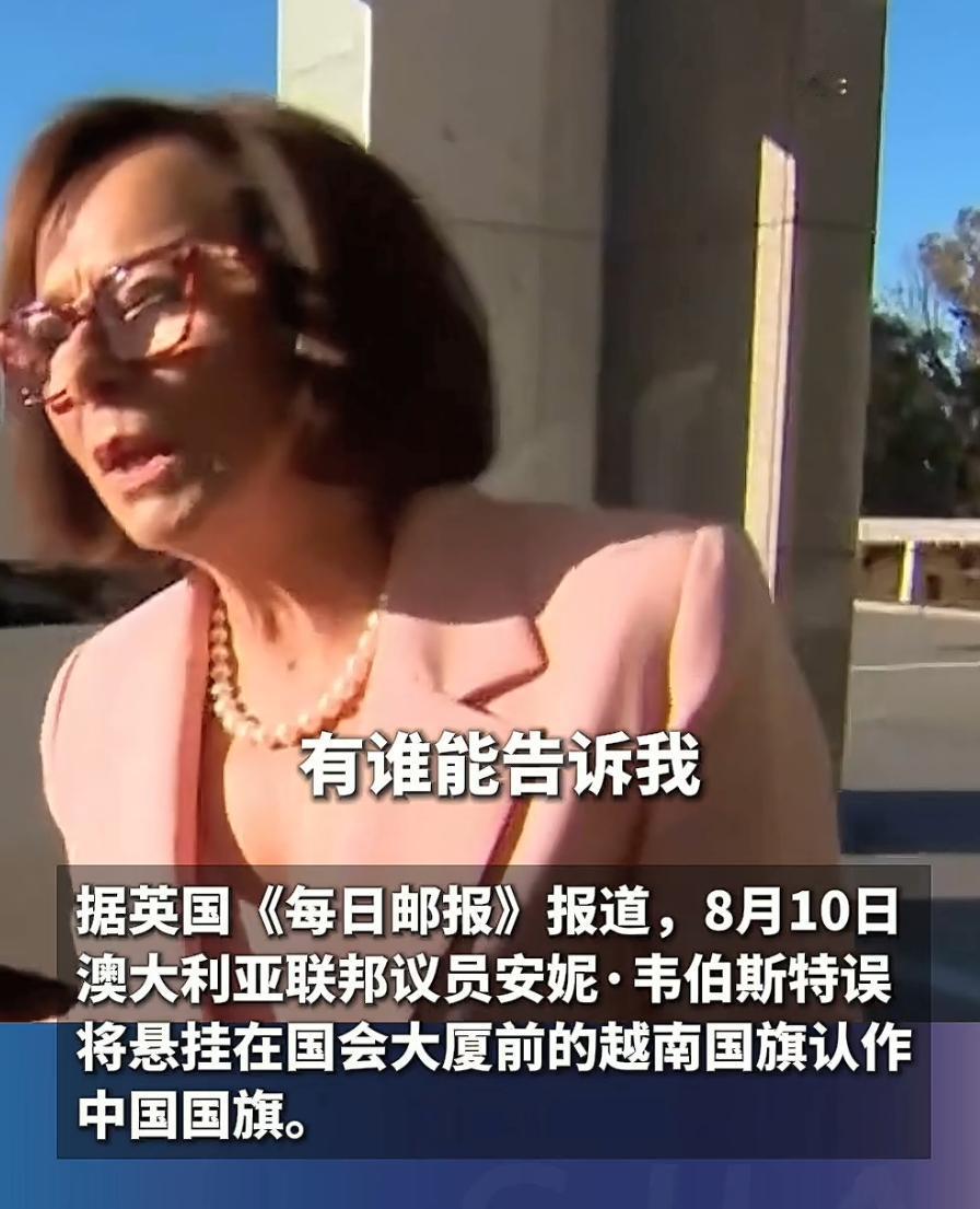 傻傻分不清楚！越南国家主席到访，澳议员竟问：国会大厦为何挂中国国旗？

后来被工
