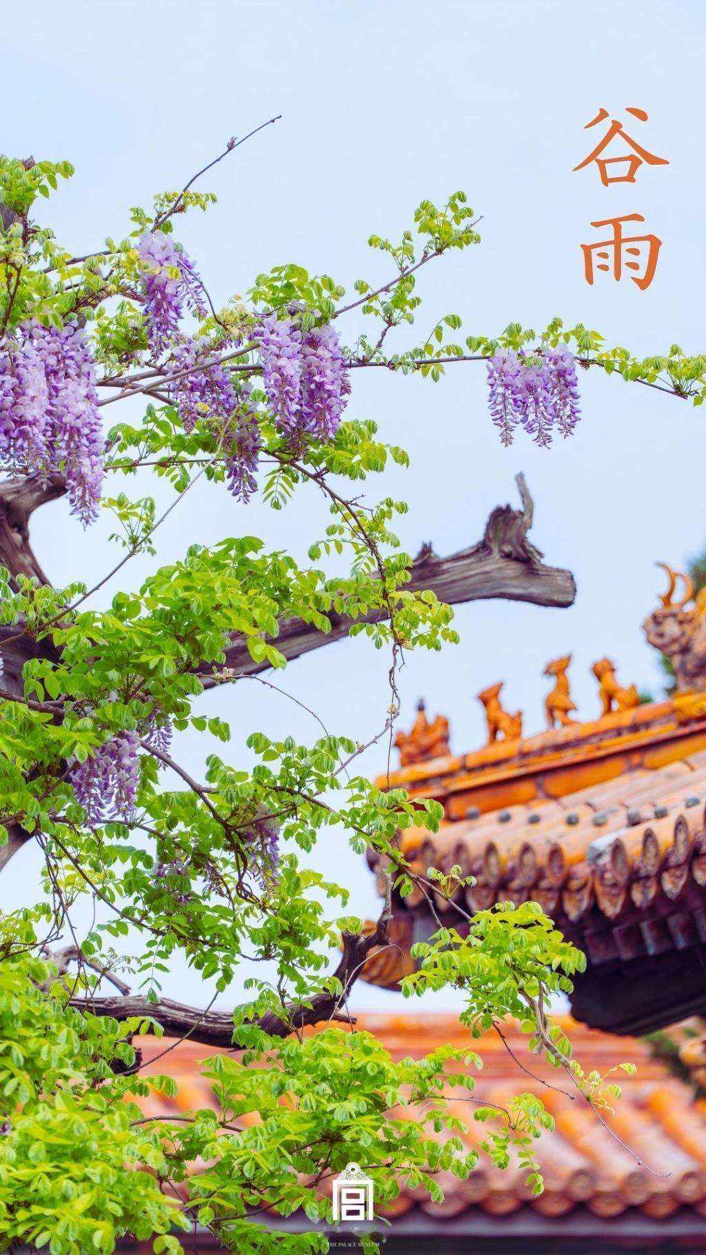 我在谷雨等你
2026年04月20日

我在谷雨等你
你在热情的夏意
等你把鲜花