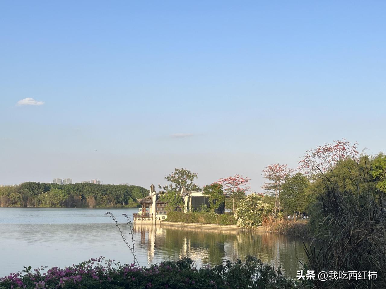 28岁女生找对象的焦虑
1⃣️现状
28岁，身高155cm，98斤。研究生毕业，