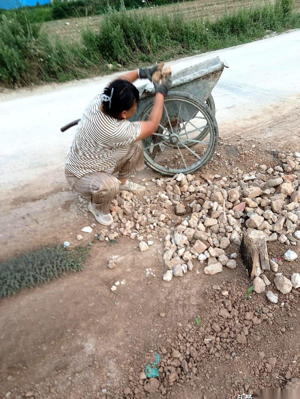 下午三点，西安长安区魏寨村。
三十多亩的玉米地，被烈日烤得冒烟。路边，65岁的娥