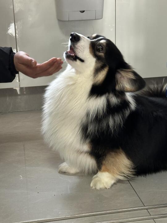 好吃好吃真好吃！