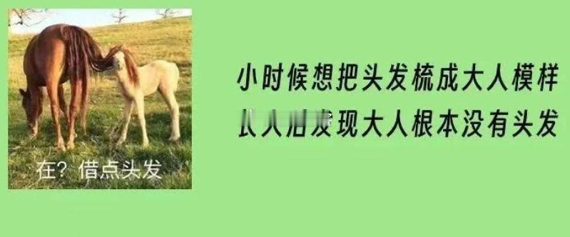 小时候总想把头发梳成大人模样 
