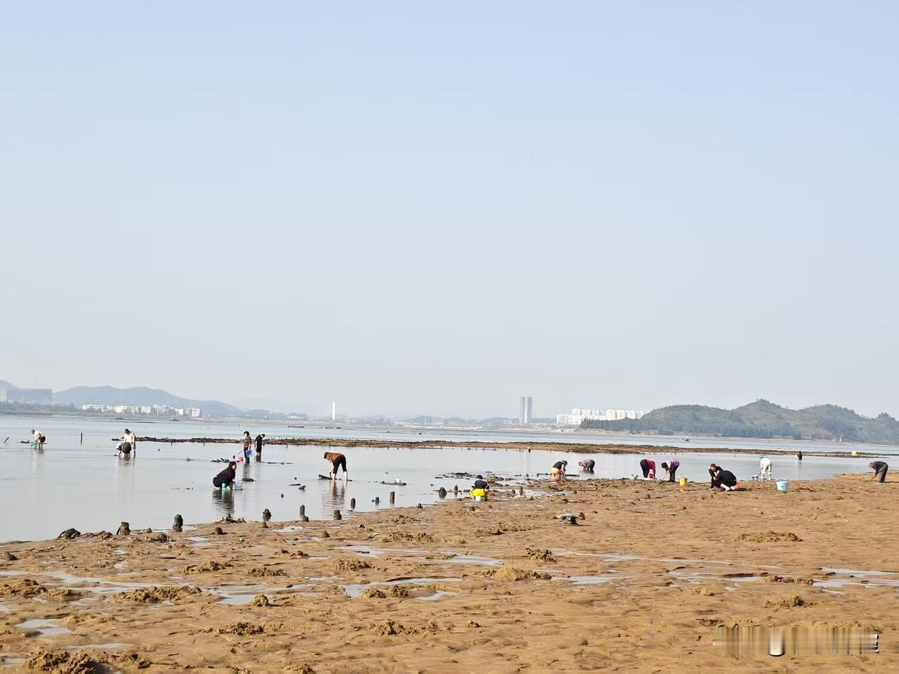 下午，二姐发来消息，说太阳出来了，广西热得很。我马上给她截了一张天气预报图。我这