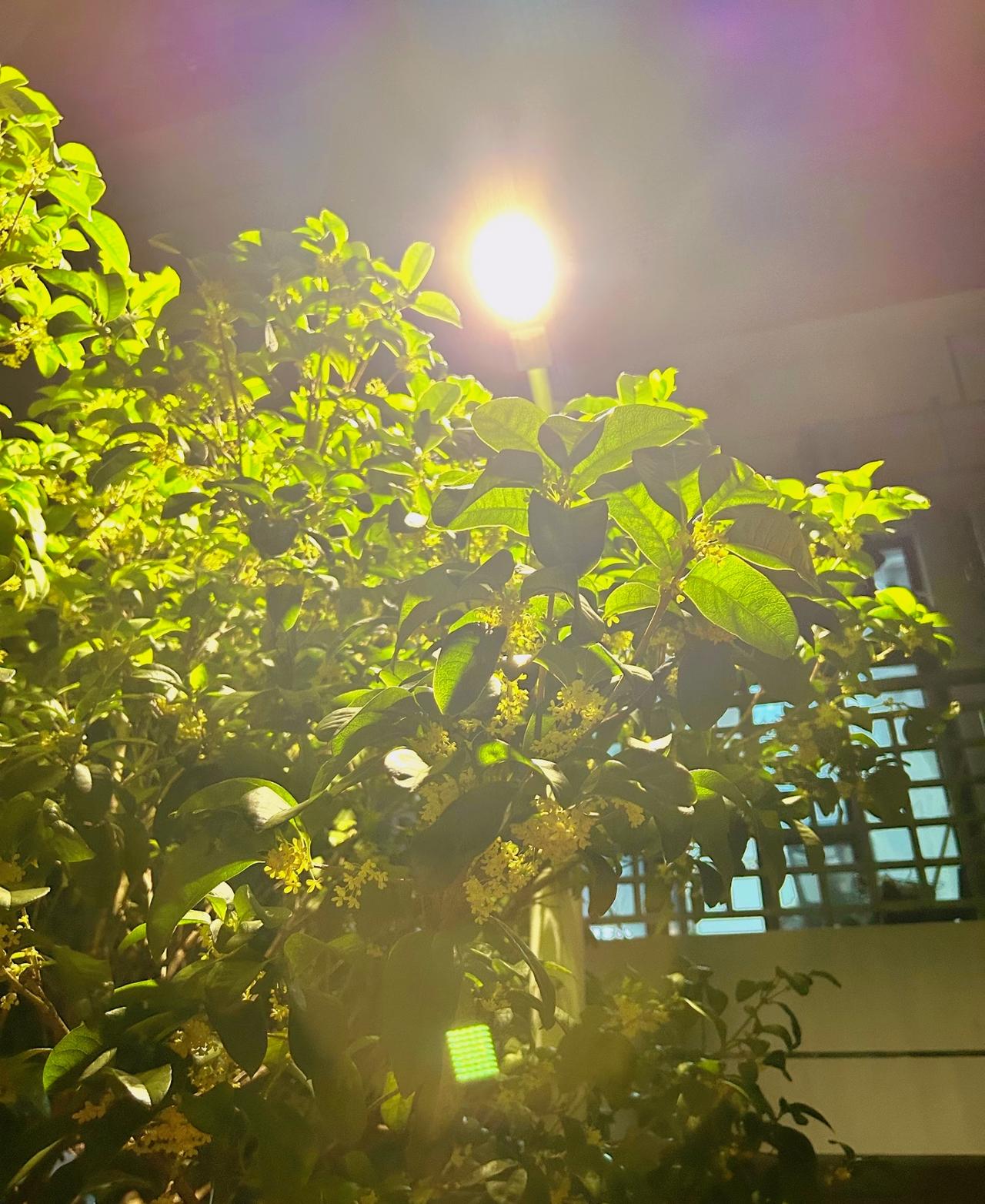 男人好色女人爱财，没有男人不偷腥，没有女人不怀春；自古英雄多风流，唯有好色似英雄