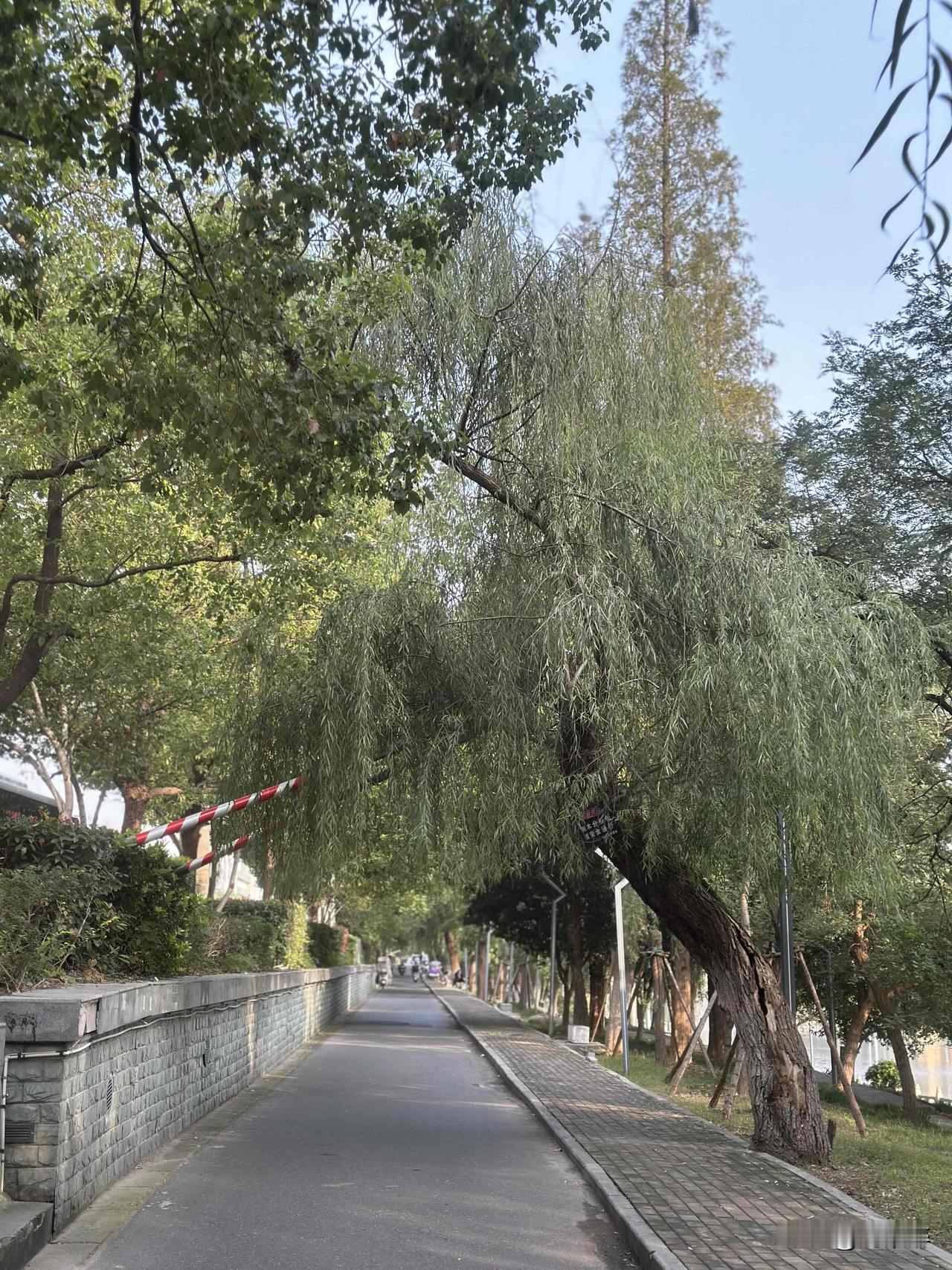 千万不要删帖！
若帖子没有展现量，也绝对不要删！
不少作者一碰到自己的帖子展现量