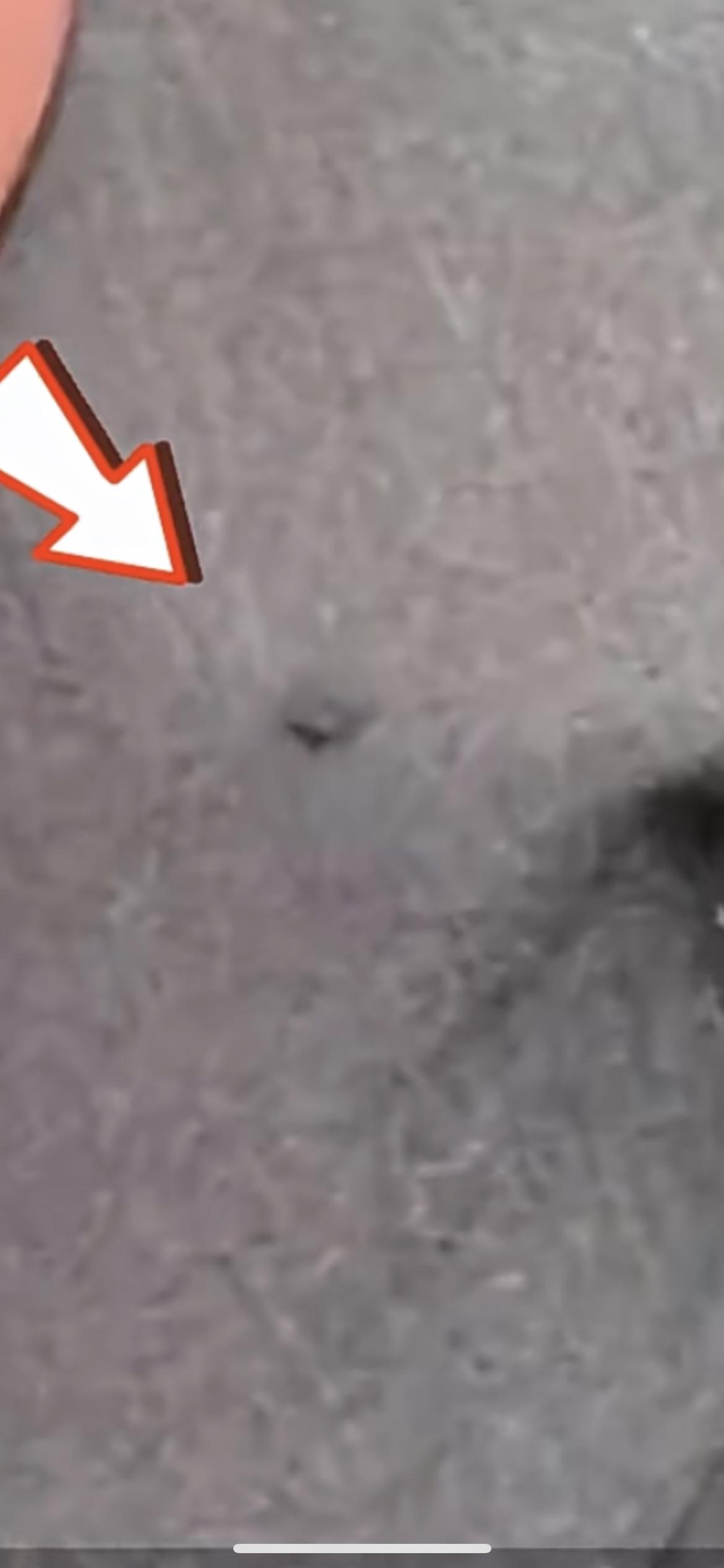 近日，陕西西安一男子称在SKP商场花1.5万购买一条奢侈品牌kiton买裤子穿1