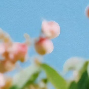 人生的路经历过，才知道有短有长；岁月，在无憾中微笑，才美丽；回过头，想着明天抱一