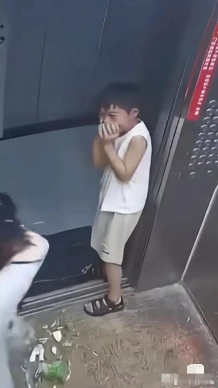 儿子心想，终于有人打你了，捂嘴偷笑呢。 