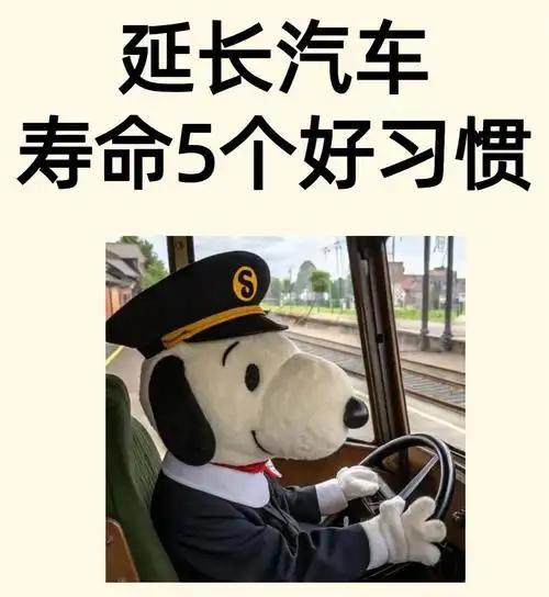 车越开越长寿的5个关键习惯，现在知道还不晚，请及时收藏
 
        汽车