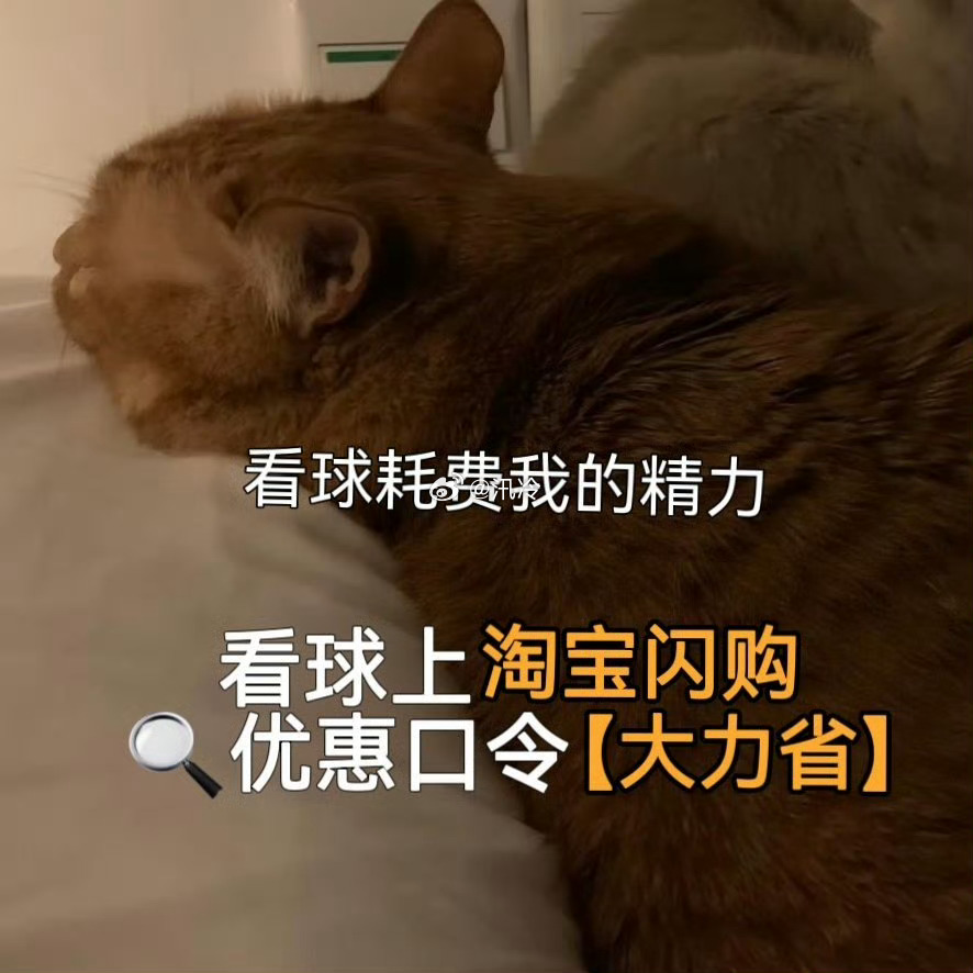 当我意识到西瓜也是瓜熬夜追球赛光抱着西瓜太过单调！进入淘宝闪购搜索大力省，夏日拼