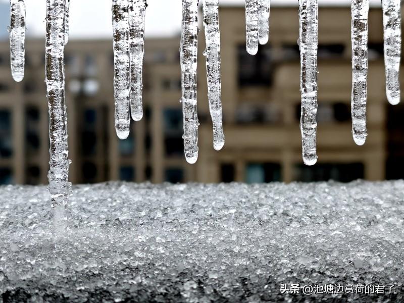 全国多地将迎暴雪和冻雨 全国多地要迎暴雪和冻雨啦！中央气象台1月15日发了寒潮预
