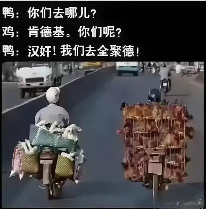 支持哪个？？