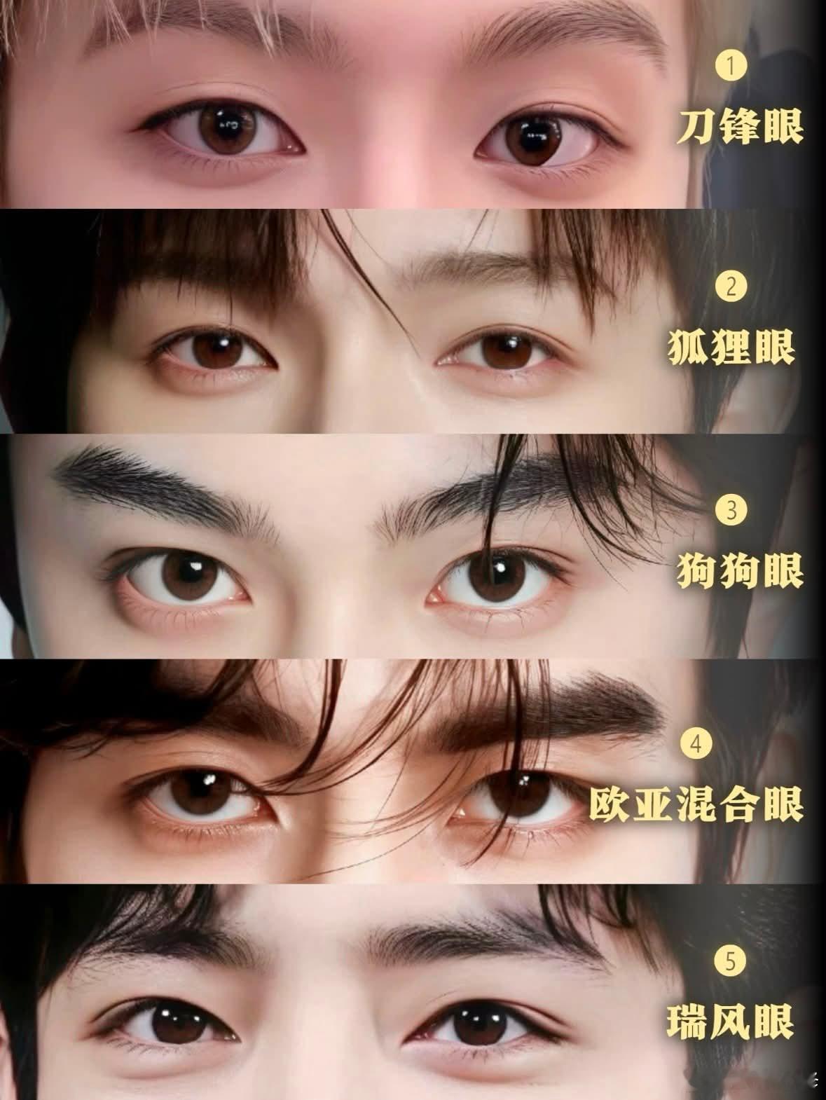1. 范丞丞-刀鋒眼冷靜、俐落、不廢話，讓你在反覆審視中陷進去2. 李昀銳 — 