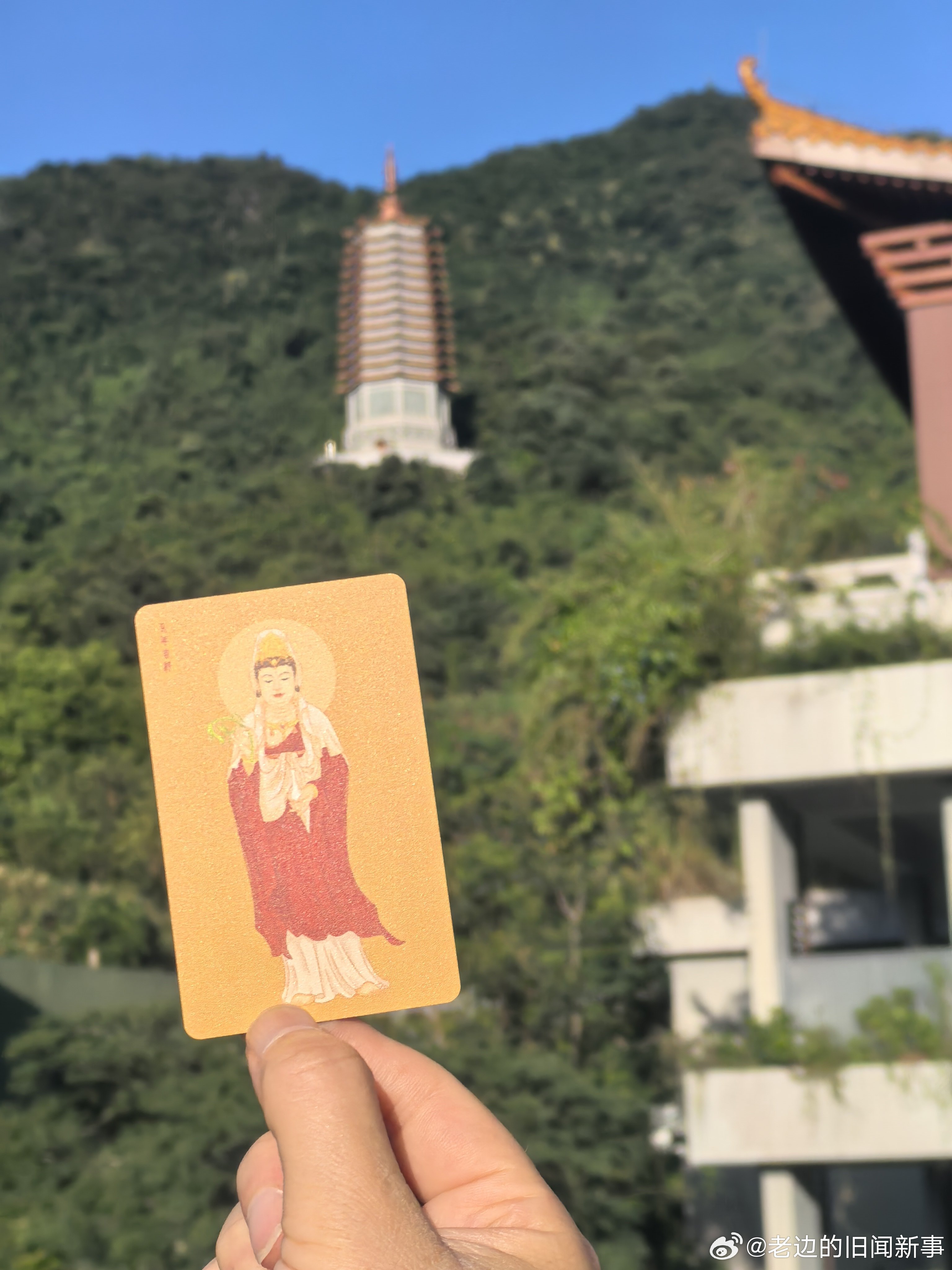 花盆被搬走了吗 深圳