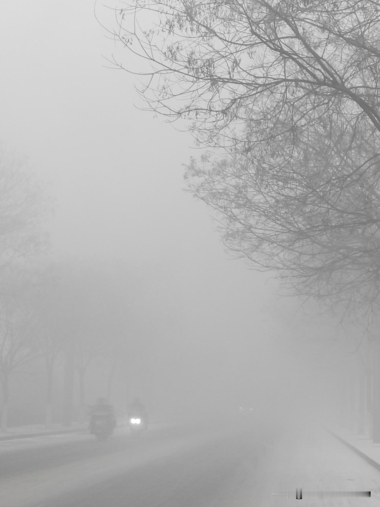 这路怎么走？真的没想到会这样，想退后，却不能退，只能选择往前走。

一大早遇到这