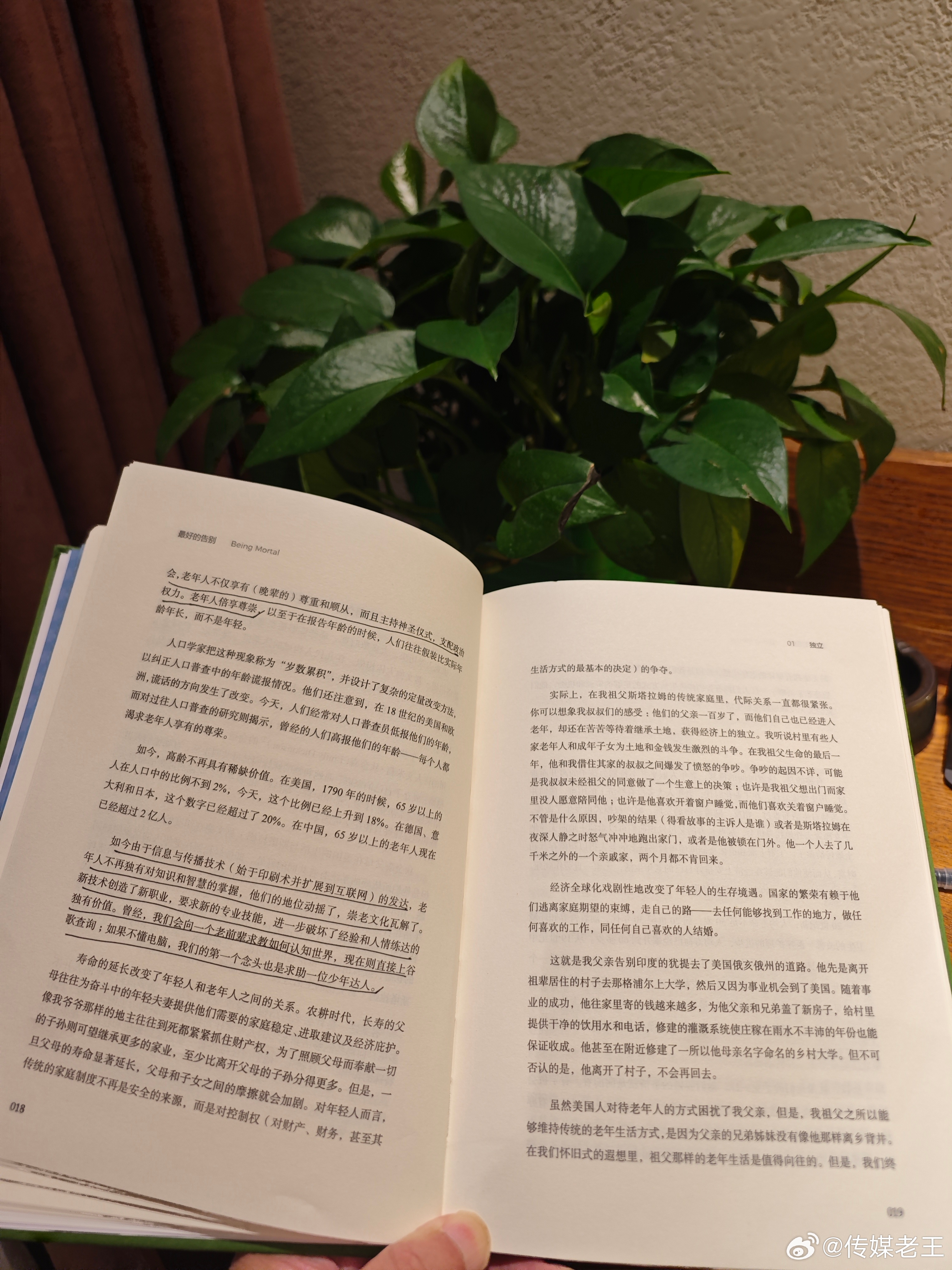 过去能够活到老年的人并不多见，而那些能够活到老年的人常常作为传统、知识和历史的维
