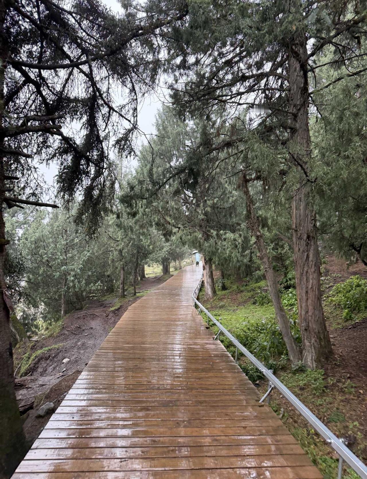 从9点40到4点50 七个小时一直走
越往上雨越大 泥泞 滑 全身湿透 冷的要死