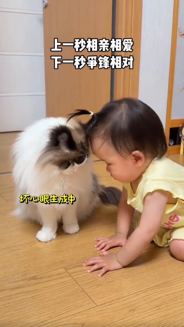 上一秒相亲相爱，下一秒争锋相对。坏心眼生成中。