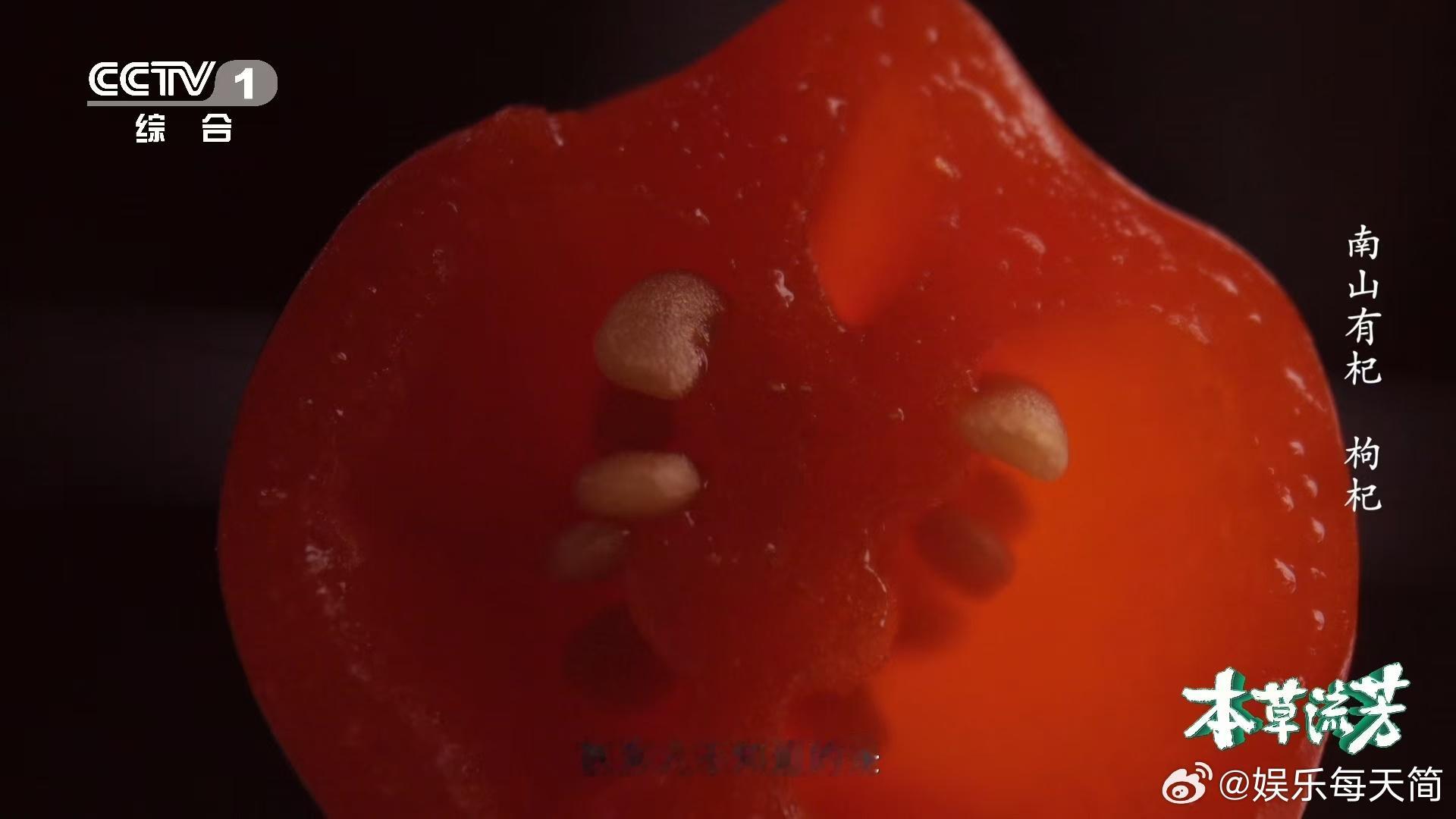 枸杞竟然和辣椒是亲戚  原来枸杞也有七彩葫芦娃版本  惊闻枸杞与辣椒是亲属，多彩