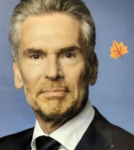 我感觉我们对于荷兰，中国的态度只有一个：不接受豁免，不开启谈判，直至将其彻底打服