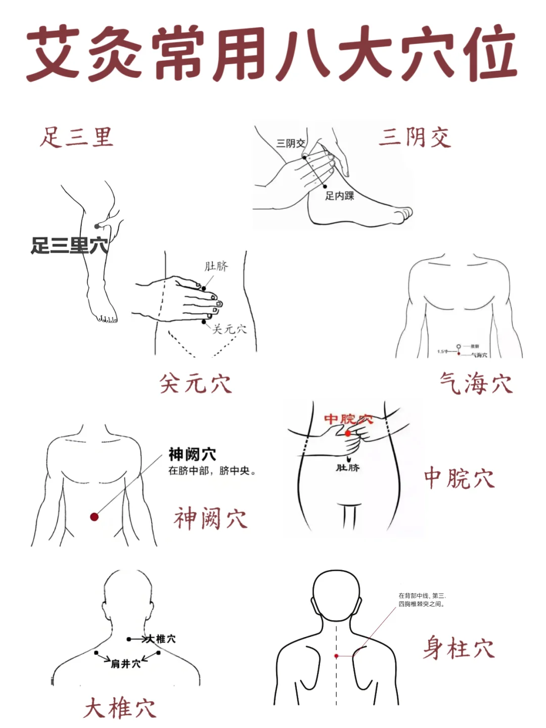 艾灸常用8大穴位