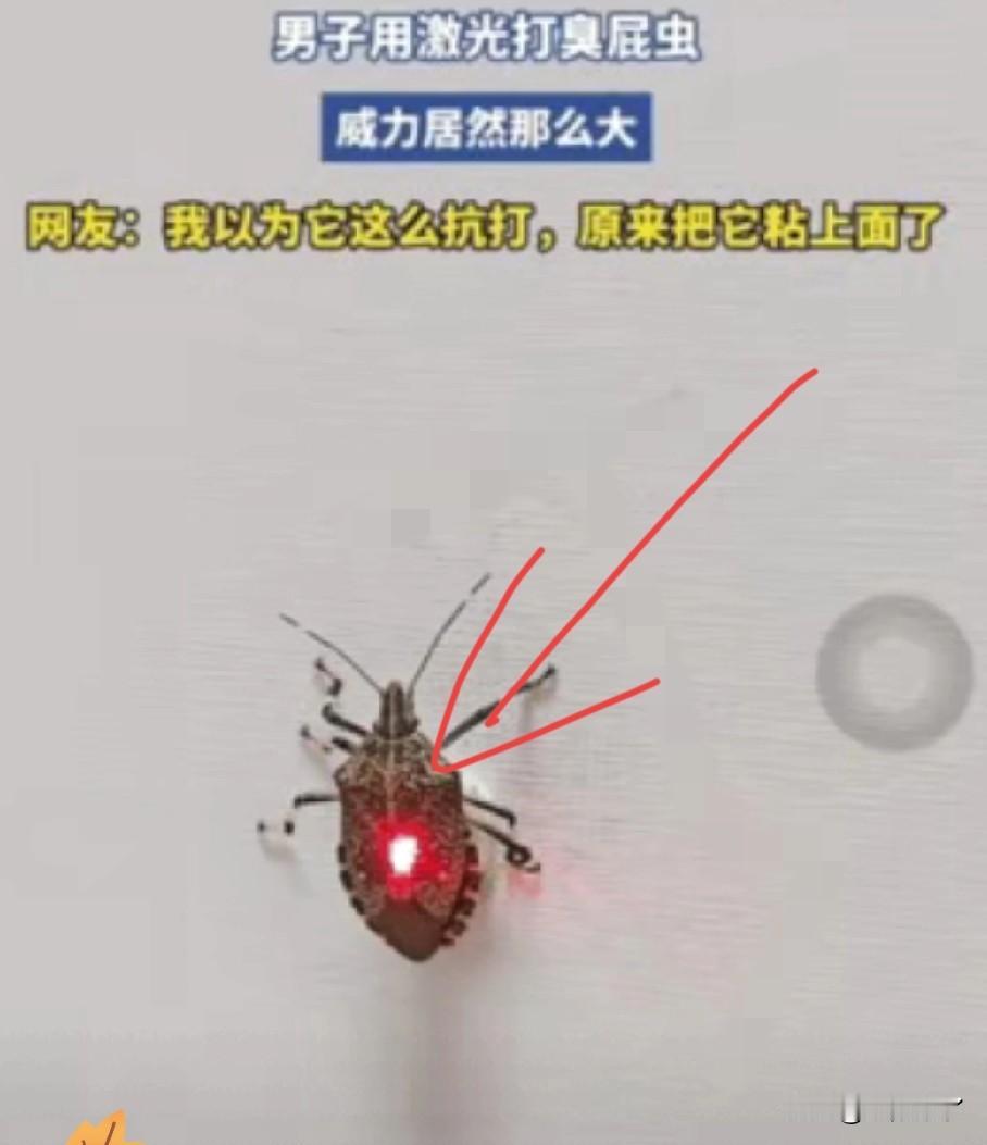 伤害性大，侮辱性强。河南一男子买了一只激光炮，想试试这个激光炮威力大不大。居然先