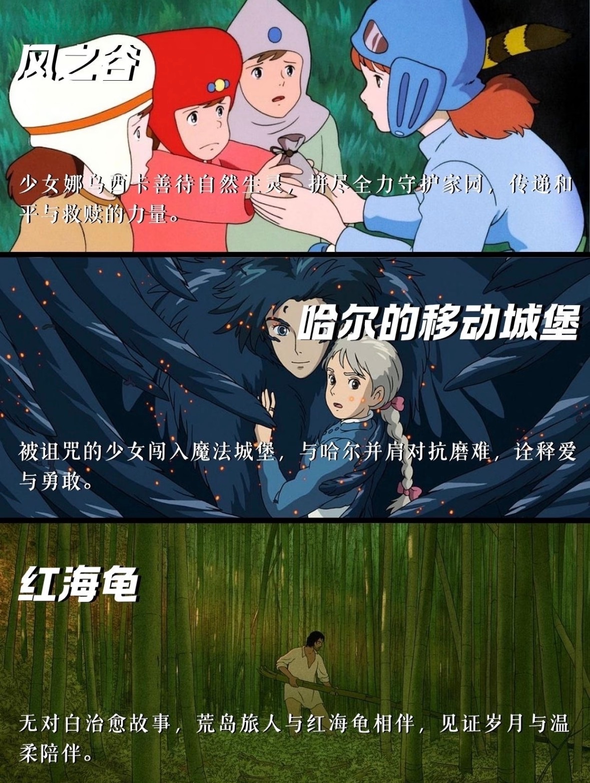 永远会被吉卜力的温柔所治愈！❤️反复重温的22部吉卜力动画，每一部都是不同的人生
