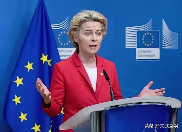 欧盟这波操作，真是又蠢又短视！历史又要重演了！
欧盟正式官宣：禁止中国参与总预算