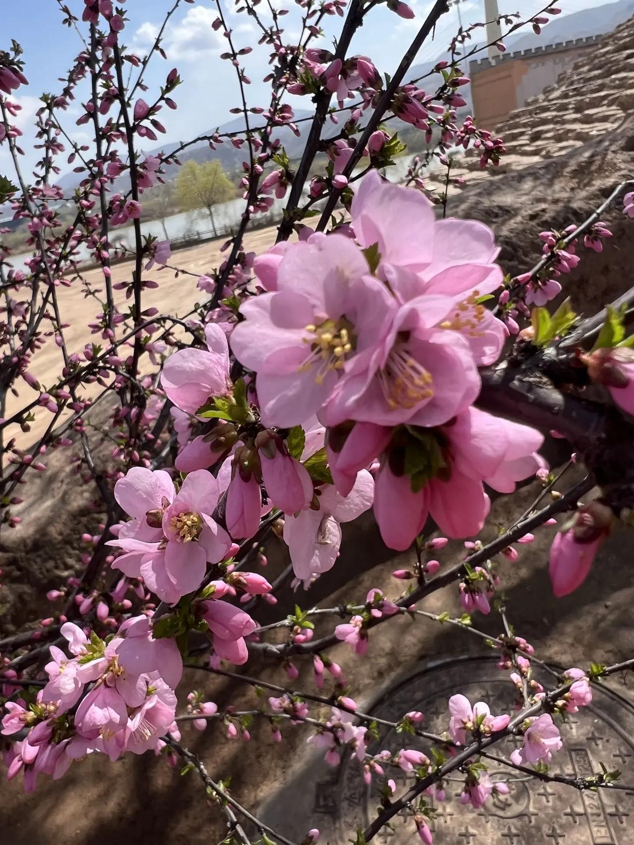 你是不是经常会遇到手机还没怎么拍照片？内存容量就满了，时不时的手机就会卡顿，一看