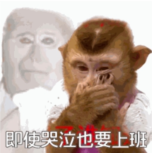 好想哭为抢到票哭也为抢不到票哭幸福与悲伤都由眼泪来见证 