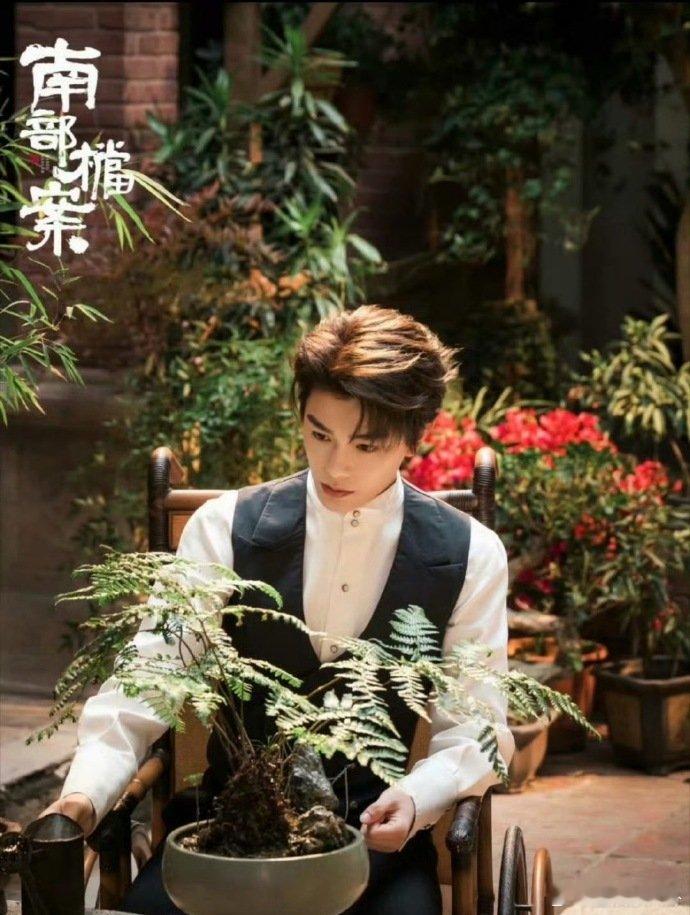 南部档案暂定6月丁禹兮张新成强强联手，《南部档案》暂定 6 月上线，民国南洋探案