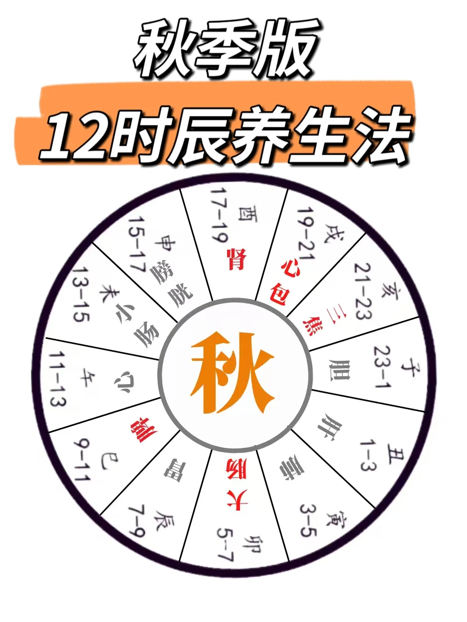今日白露，秋季的12时辰养生法！