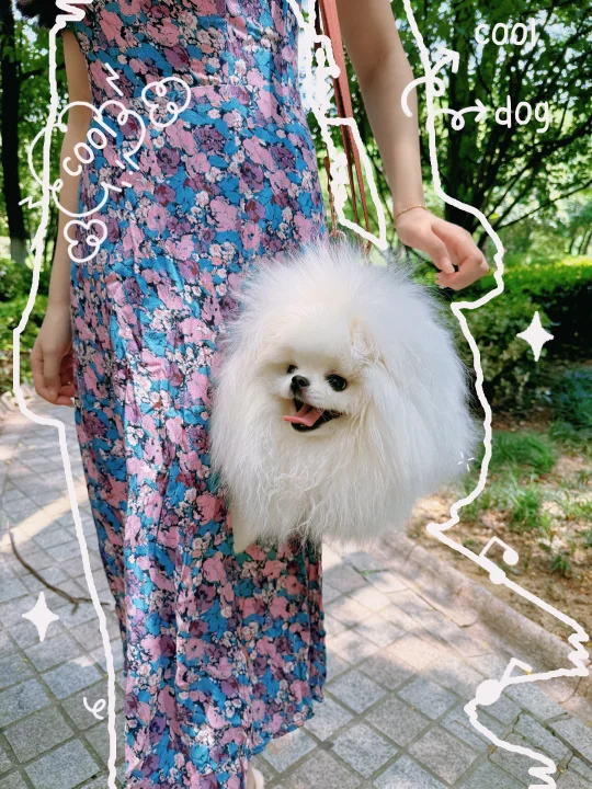 出街时尚单品！