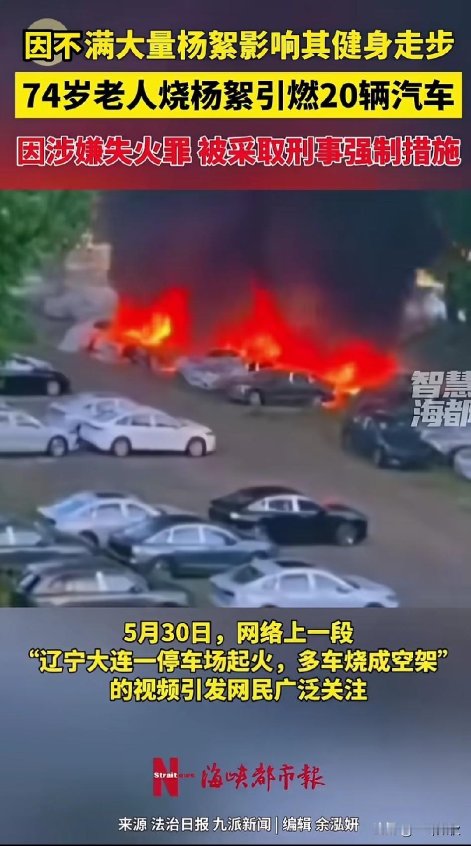 74岁老人烧路边杨絮竟然惹如此大祸！这下怎么赔，害人害己。