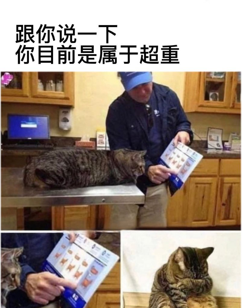 喵：55555 ​​​