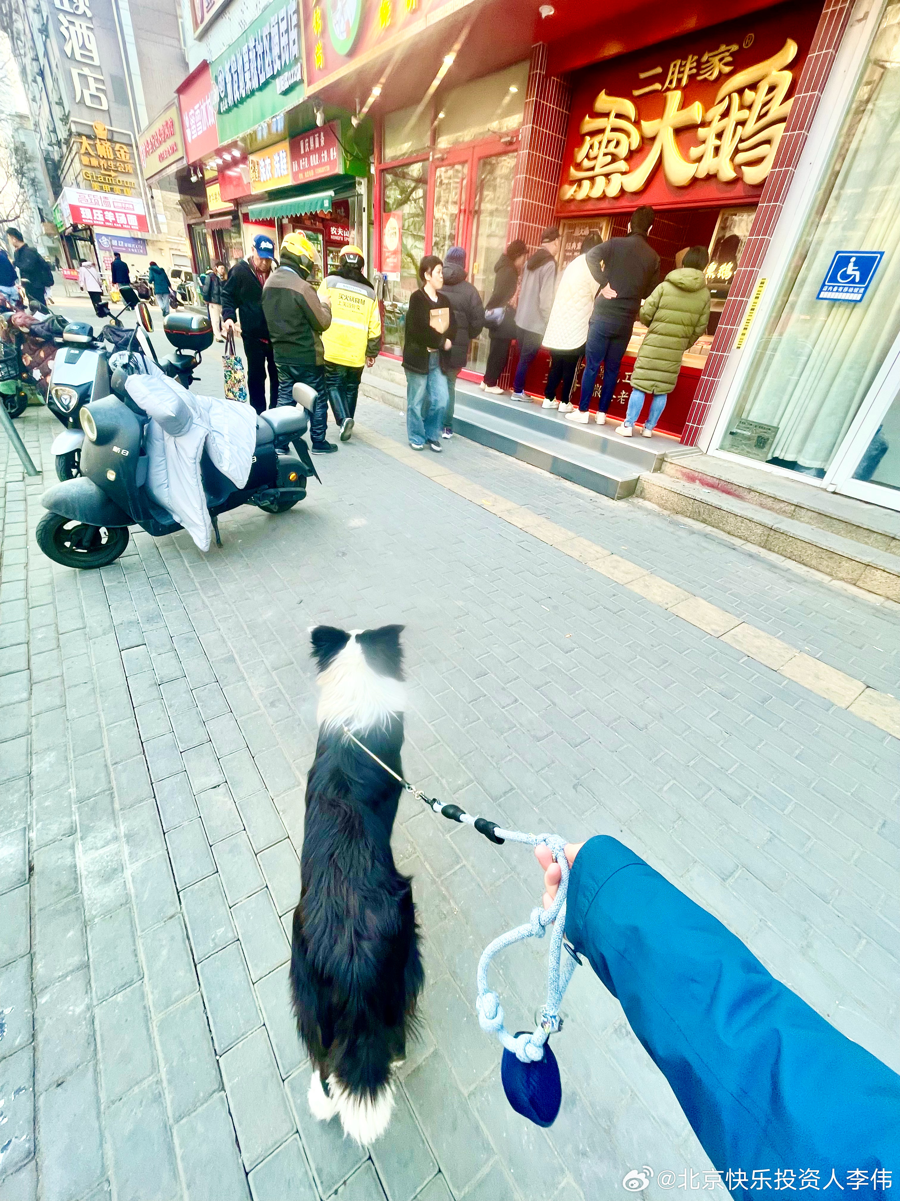 遛狗一小时来网红“二胖”家买大鹅，最近手气不错，下跌一买就涨，晚上喝一口小酒慰平