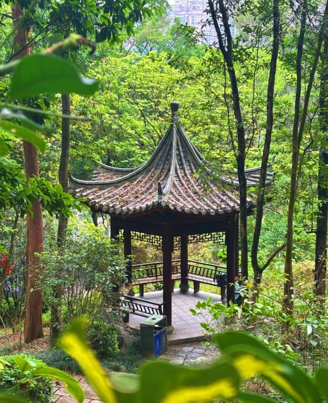 东莞旗峰山，美好的一天，真的很喜欢不爬山， 心情也特别好 东莞