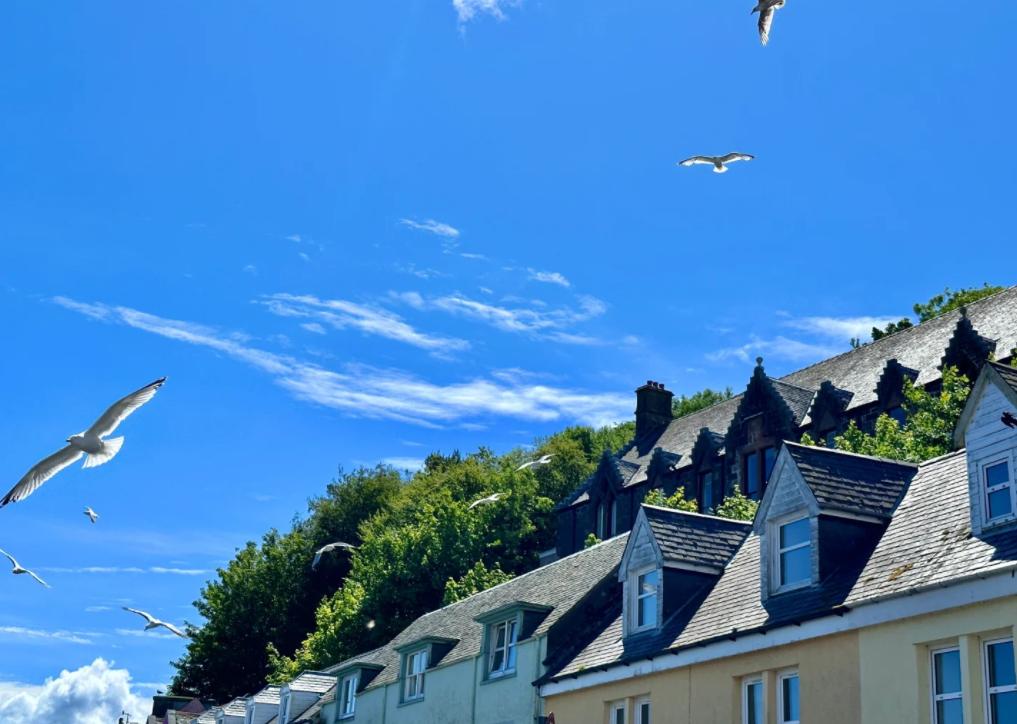 美伊谈判三大焦点，海峡成博弈新筹码
亲爱的朋友们大家好，我是海林小百科！今天我们