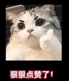 #摄像师靠爆改逆袭成男团美少年##这下谁还分得清摄像大哥和颜值主播# 爆改的魅力
